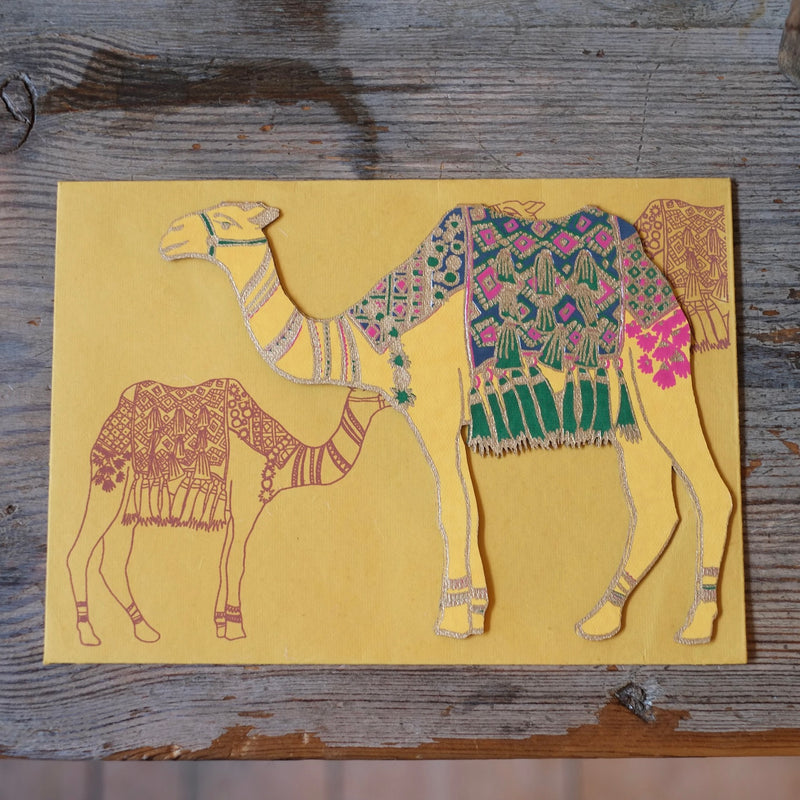 Camel Greeting Card