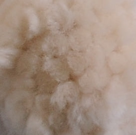 Mrs Moon Plump Superchunky 100g